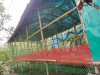 মুরগির খামার